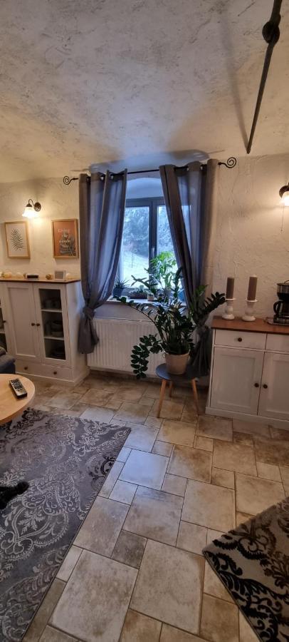 Monteur-Ferienwohnung Ot Naundorf Naundorf  Εξωτερικό φωτογραφία