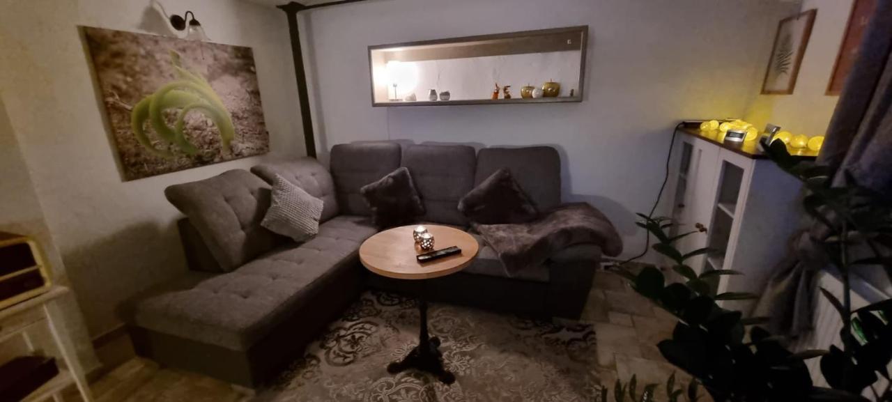 Monteur-Ferienwohnung Ot Naundorf Naundorf  Εξωτερικό φωτογραφία
