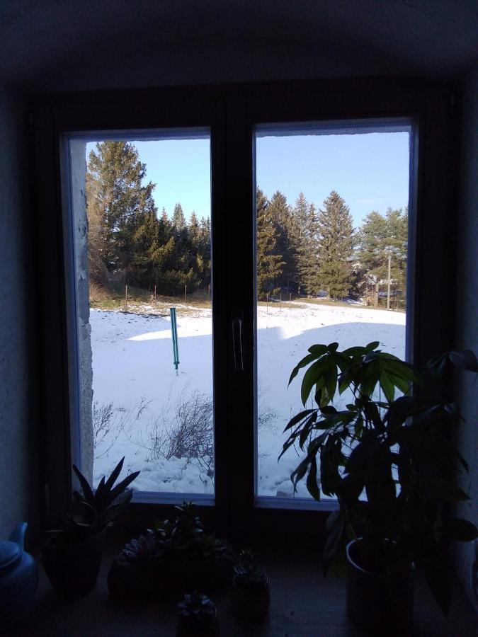 Monteur-Ferienwohnung Ot Naundorf Naundorf  Εξωτερικό φωτογραφία